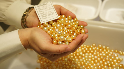 深珠宝展销会嘉年华隆重开幕，国际珍珠看货会现场火爆